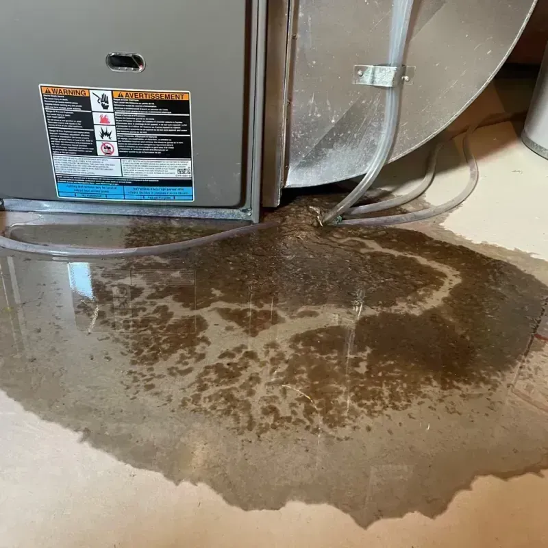 Appliance Leak Cleanup in Leslie County, KY